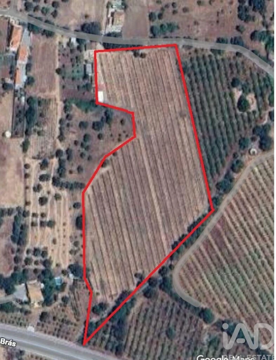 Terreno para Venda em São Brás de Alportel Foto 1