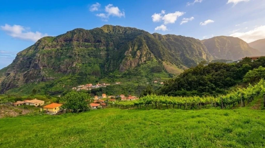 Terreno para Venda em São Vicente Foto 7