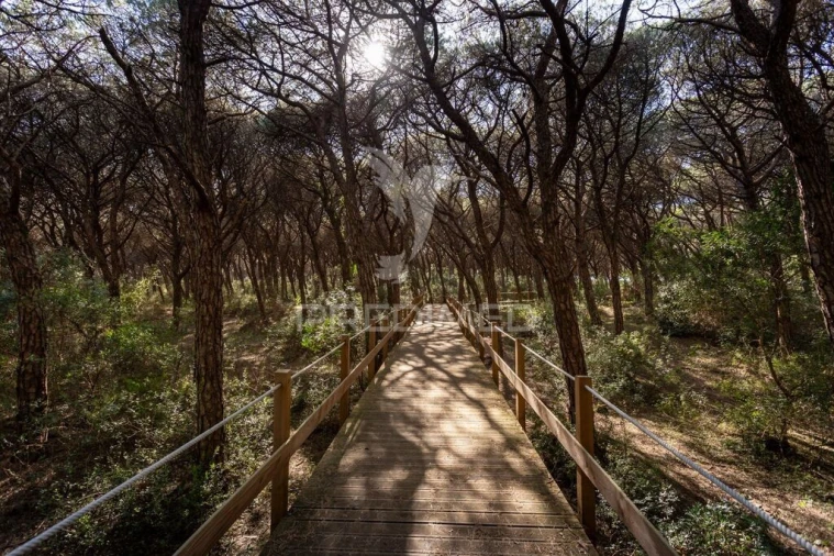 Moradia T3 para Venda em Corroios Foto 20