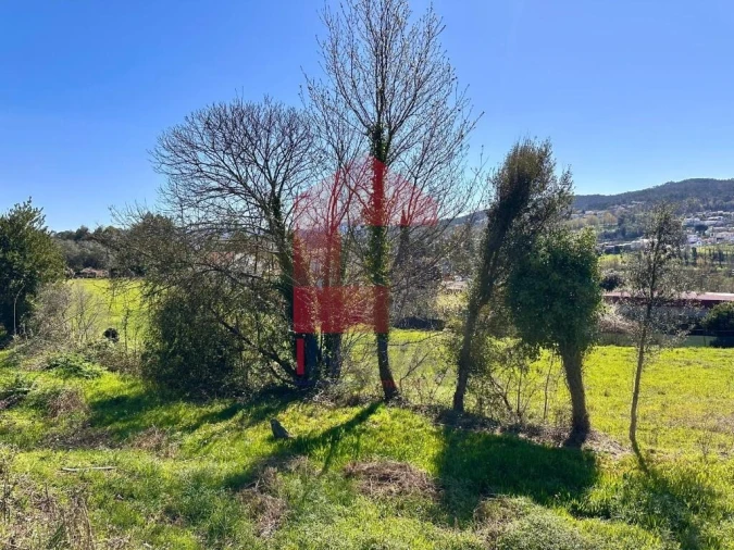 Moradia T3 para Venda em Cabanelas Foto 46