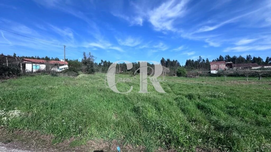 Terreno para Venda em Graça Foto 5