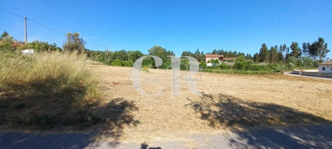 Terreno para Venda em Graça