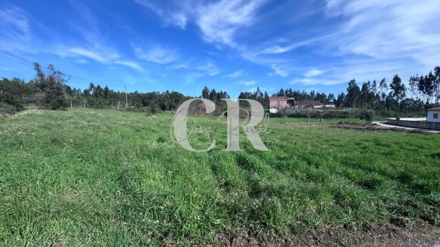 Terreno para Venda em Graça Foto 3