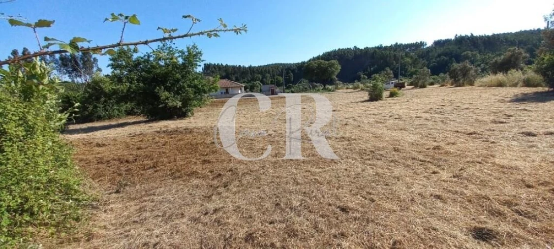 Terreno para Venda em Graça Foto 2