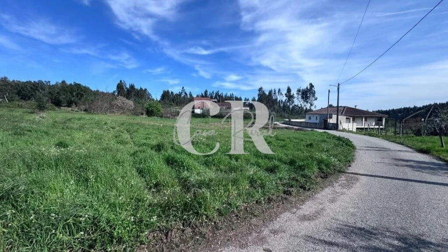 Terreno para Venda em Graça Foto 4