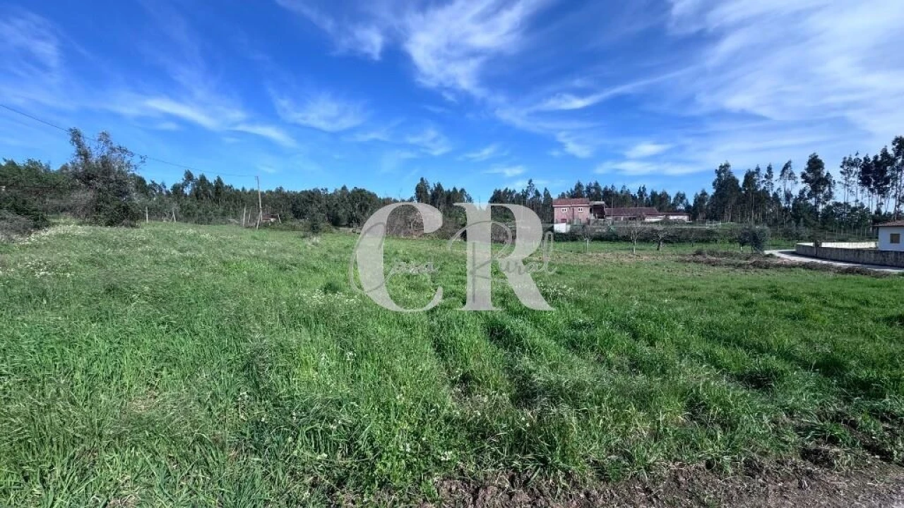 Terreno para Venda em Graça Foto 3