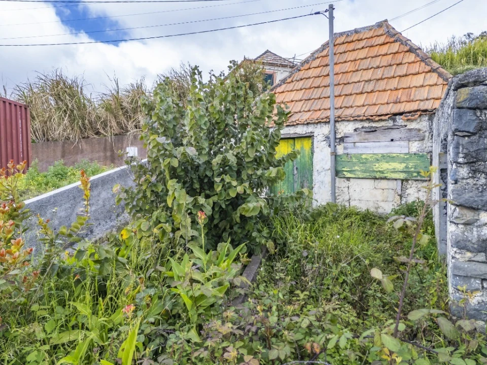 Moradia T1 para Venda em Ponta do Sol Foto 52