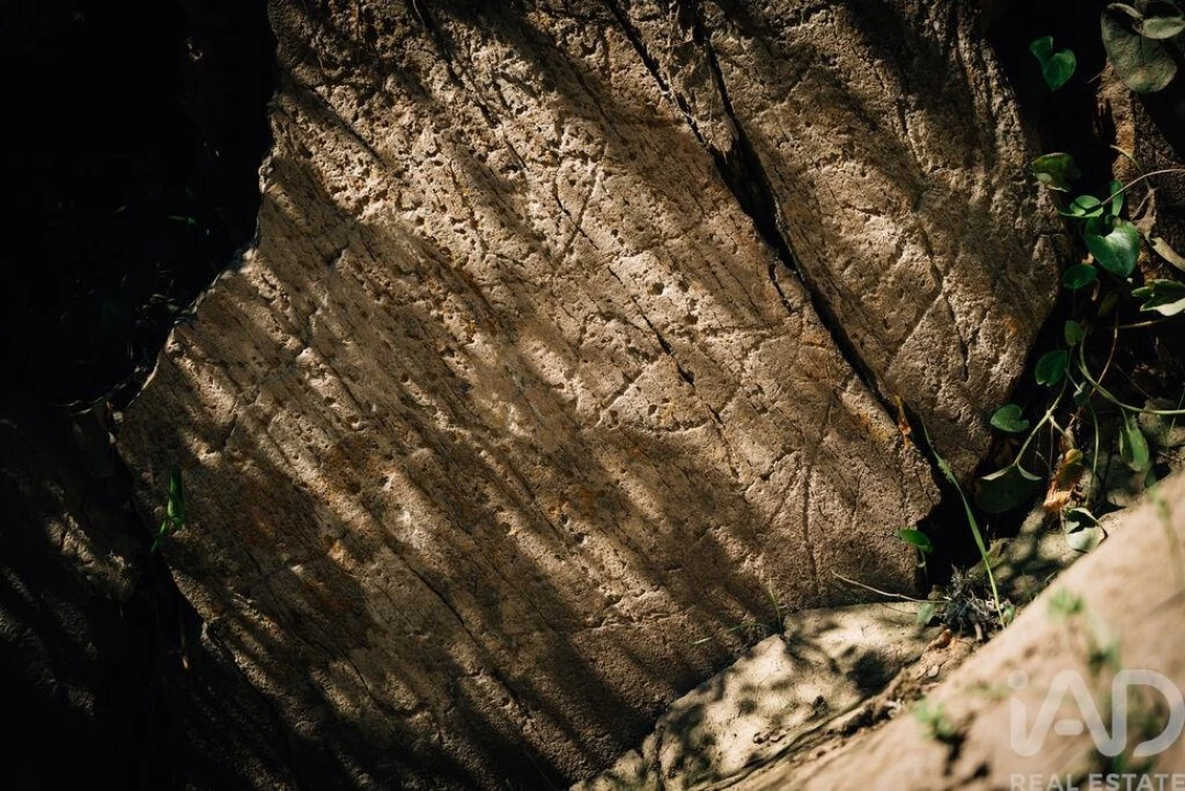 Quinta para Venda em Chãs Foto 27