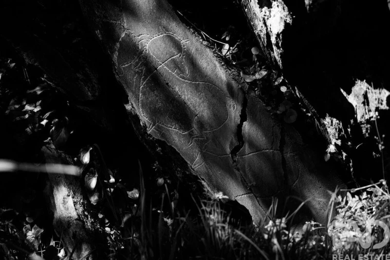 Quinta para Venda em Chãs Foto 25