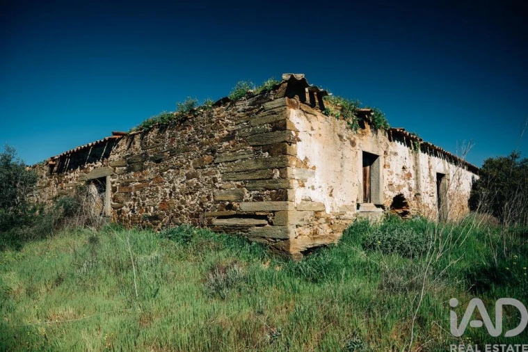 Quinta para Venda em Chãs Foto 7