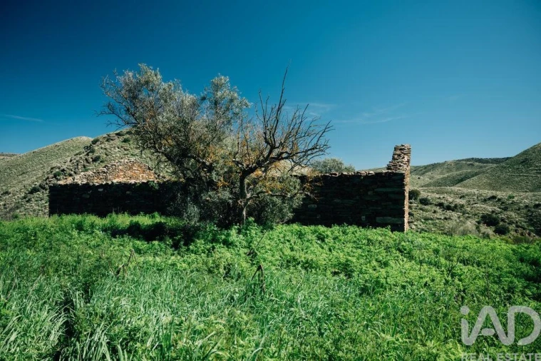 Quinta para Venda em Chãs Foto 14