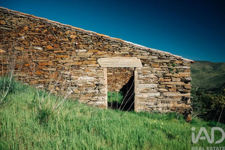 Quinta para Venda em Chãs Foto 16