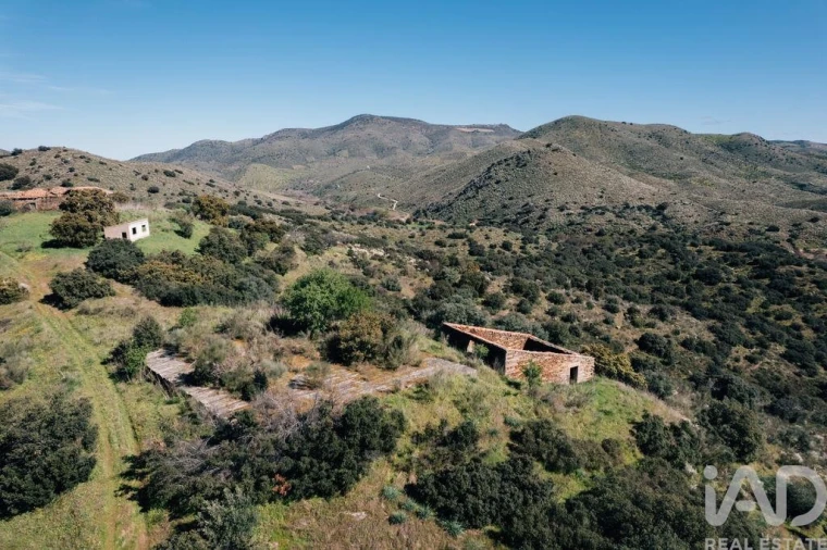 Quinta para Venda em Chãs Foto 6