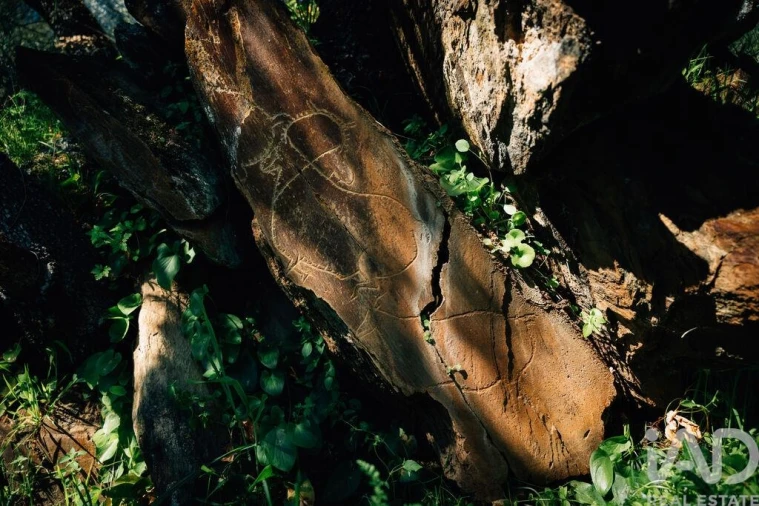 Quinta para Venda em Chãs Foto 22