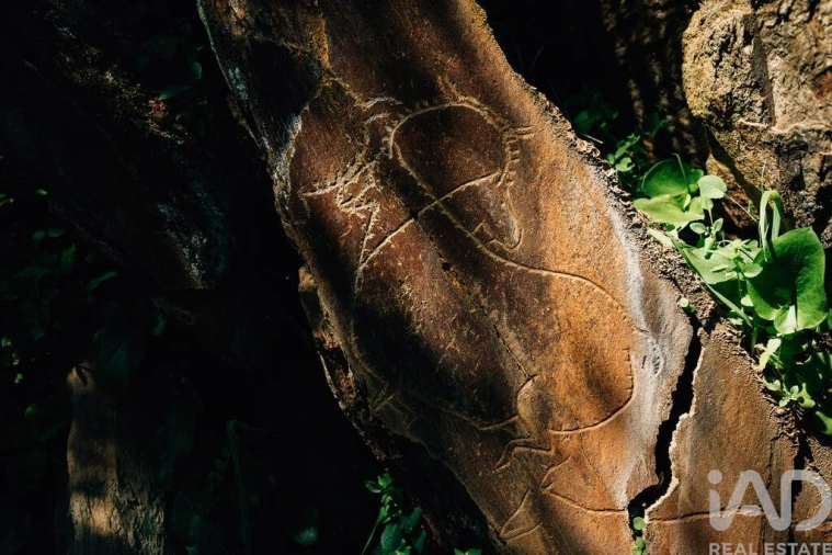 Quinta para Venda em Chãs Foto 23