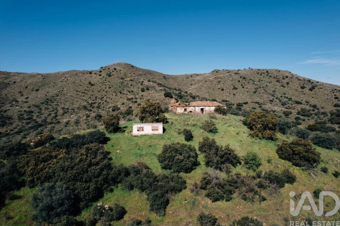 Quinta para Venda em Chãs Foto 4