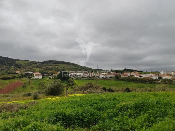 Terreno para Venda em Dois Portos e Runa Foto 4
