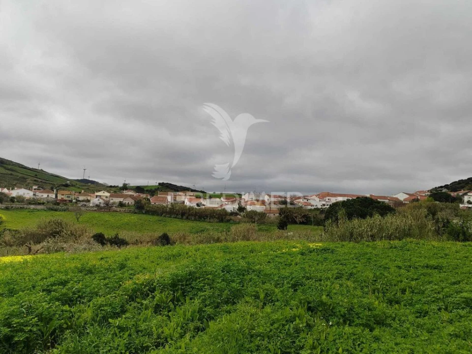 Terreno para Venda em Dois Portos e Runa Foto 5