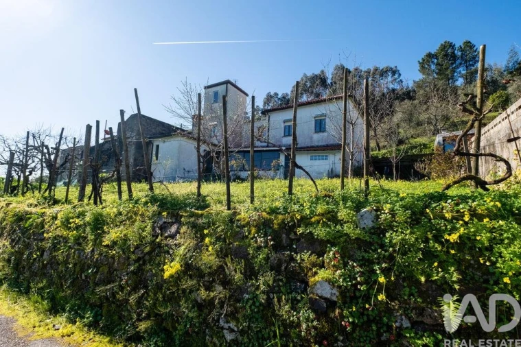 Moradia para Venda em Penacova Foto 4