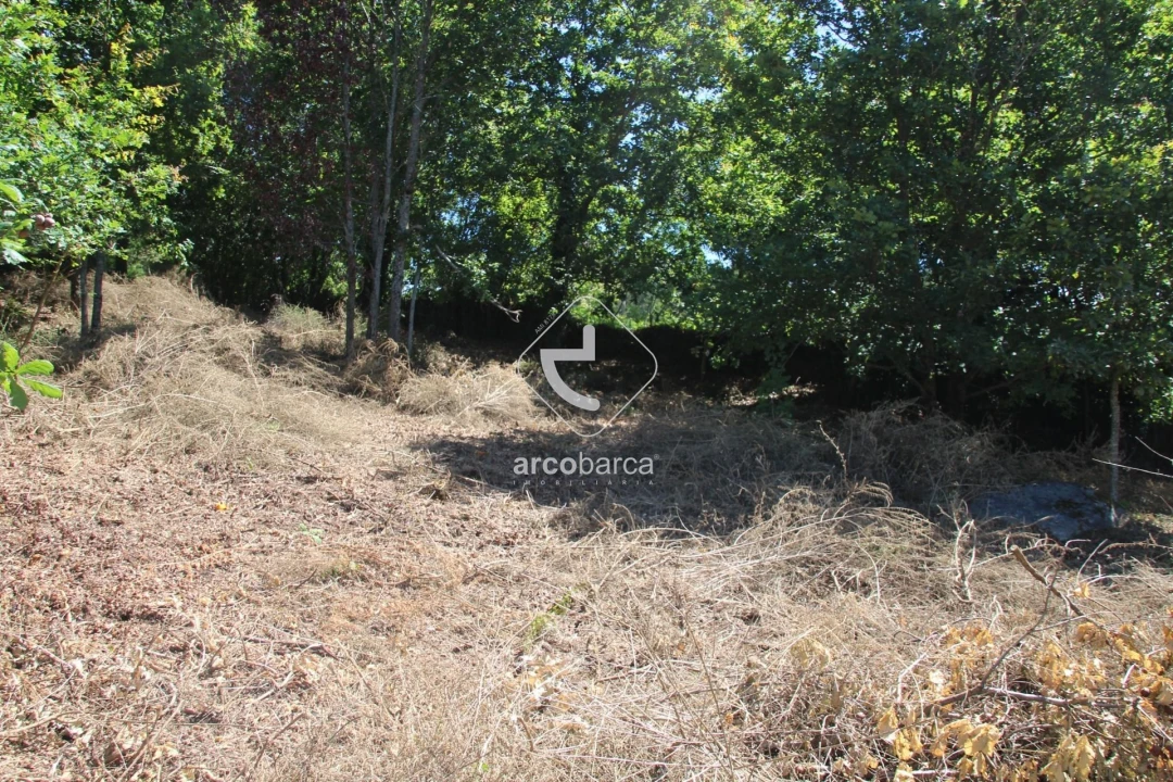 Terreno para Venda em Formariz e Ferreira Foto 21