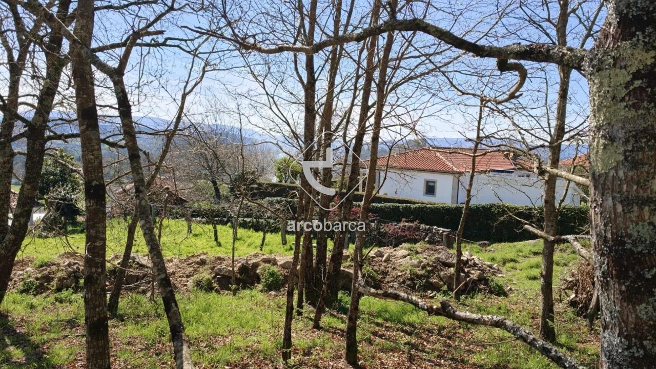Terreno para Venda em Formariz e Ferreira Foto 4