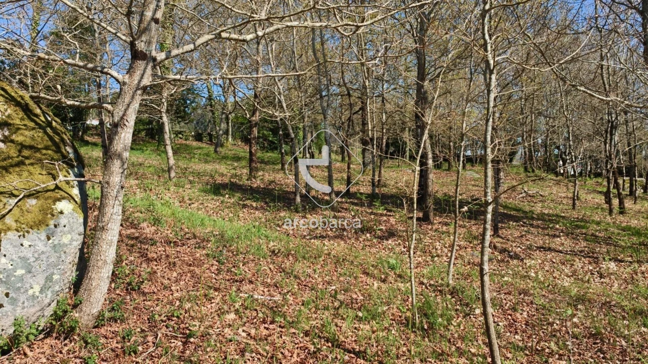 Terreno para Venda em Formariz e Ferreira Foto 14