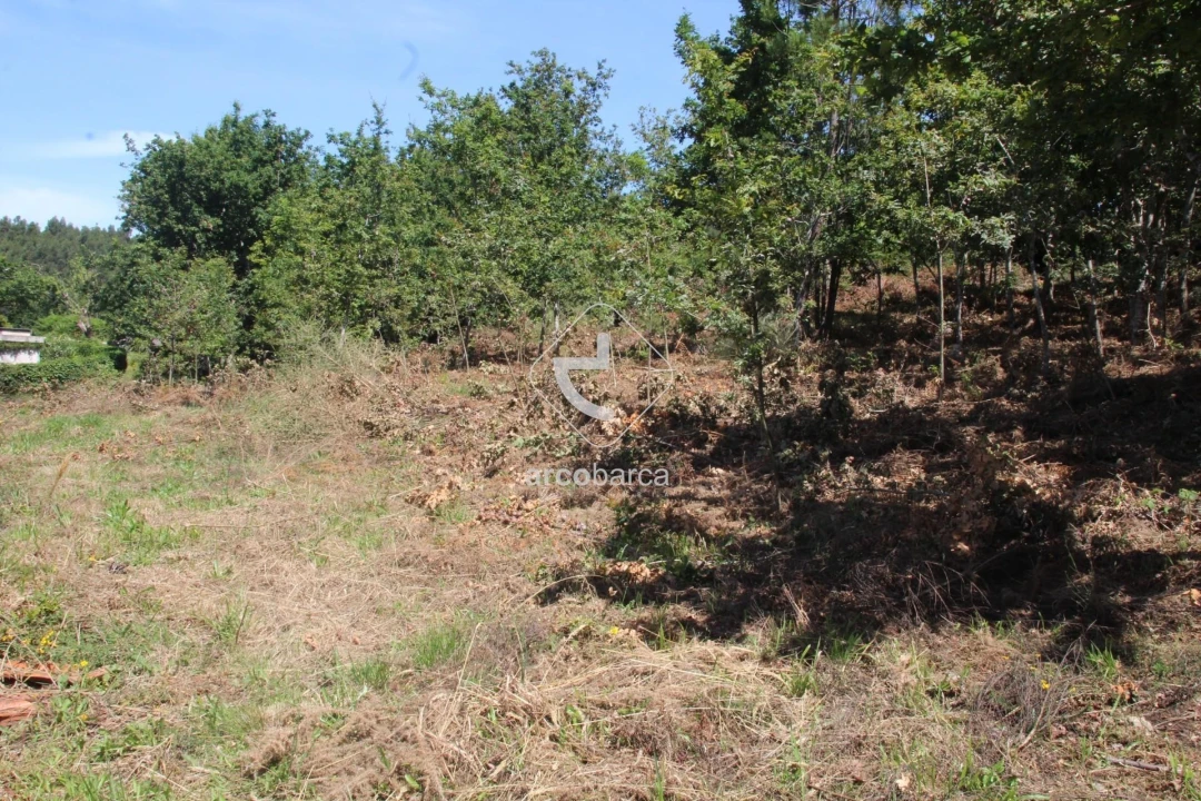 Terreno para Venda em Formariz e Ferreira Foto 29