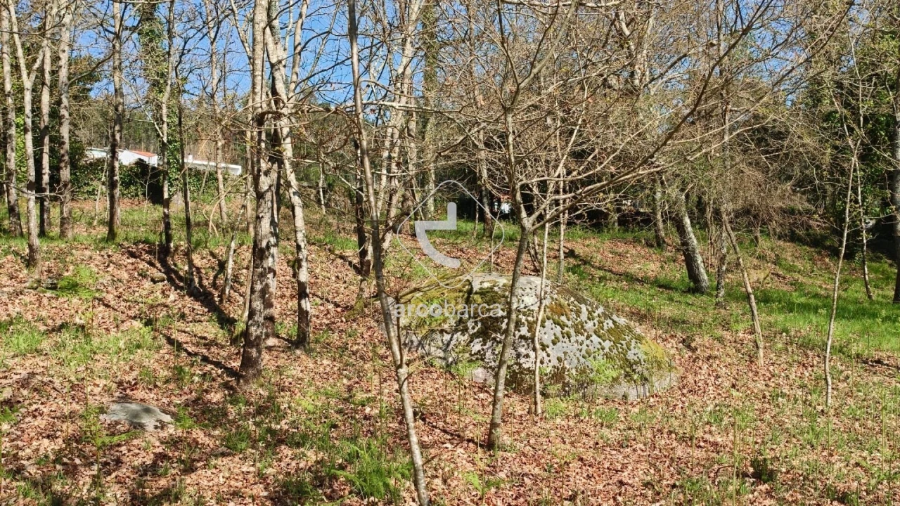 Terreno para Venda em Formariz e Ferreira Foto 2