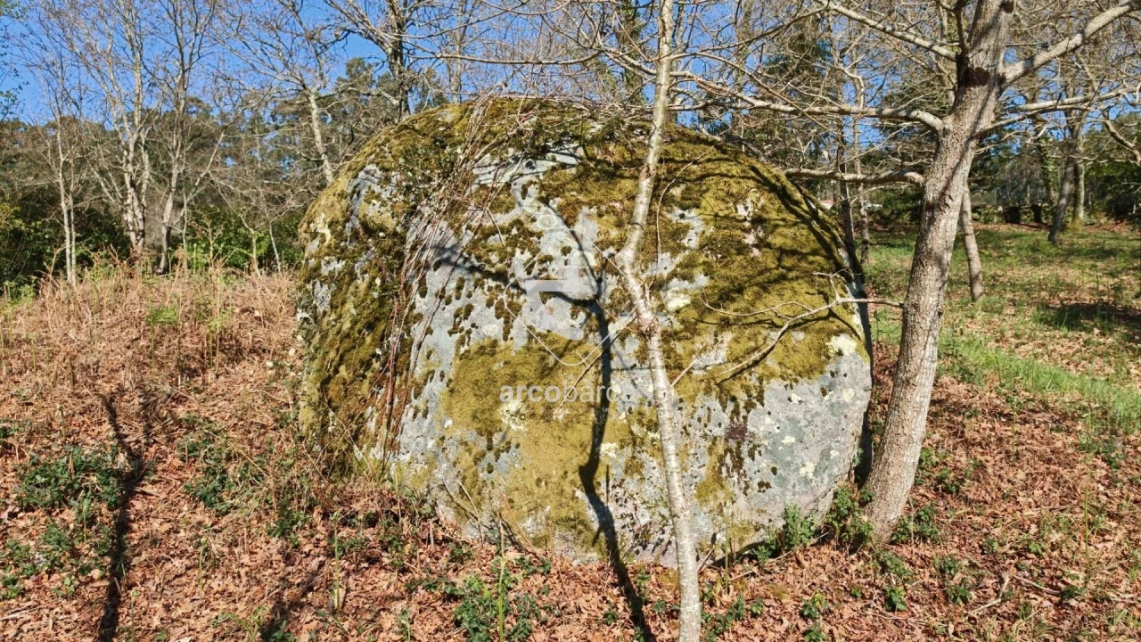 Terreno para Venda em Formariz e Ferreira Foto 16