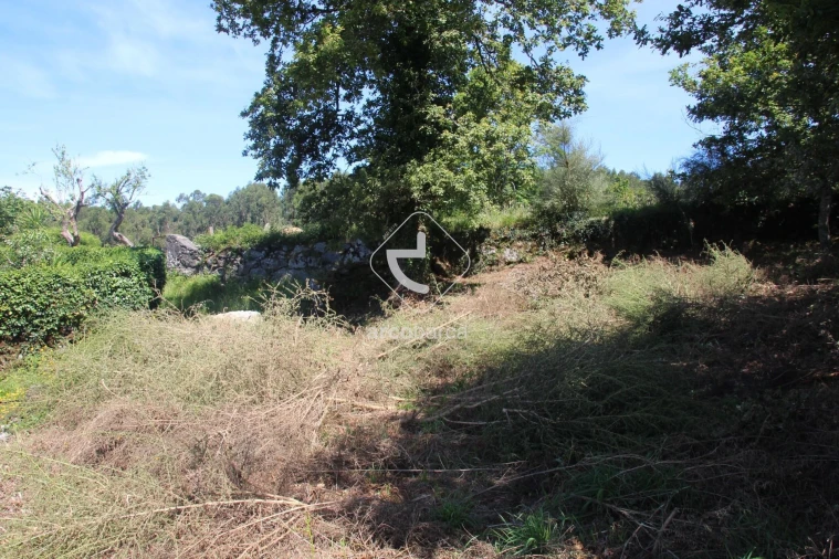 Terreno para Venda em Formariz e Ferreira Foto 31