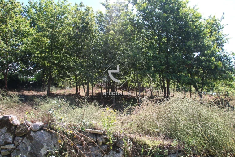 Terreno para Venda em Formariz e Ferreira Foto 26