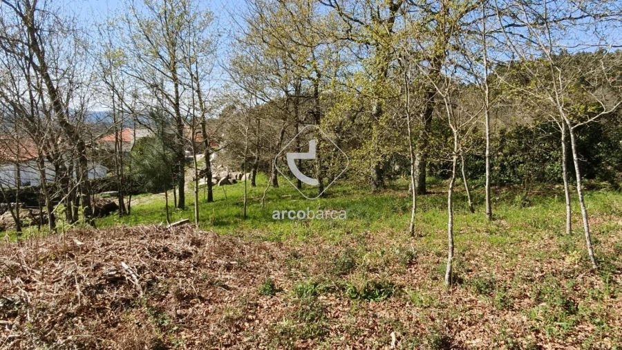 Terreno para Venda em Formariz e Ferreira Foto 43