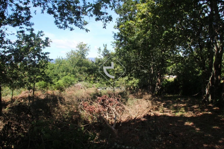 Terreno para Venda em Formariz e Ferreira Foto 37