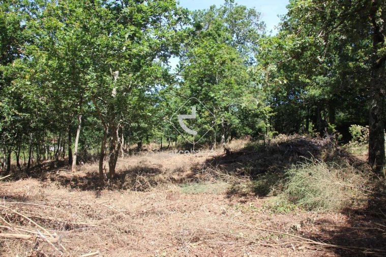 Terreno para Venda em Formariz e Ferreira Foto 7