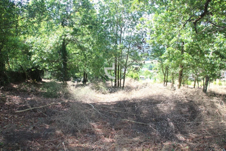 Terreno para Venda em Formariz e Ferreira Foto 34