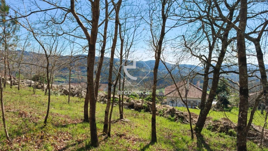 Terreno para Venda em Formariz e Ferreira Foto 6