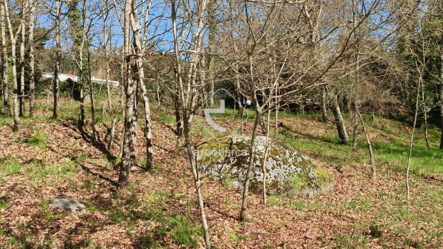 Terreno para Venda em Formariz e Ferreira Foto 2