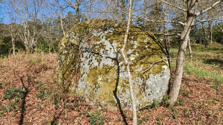 Terreno para Venda em Formariz e Ferreira Foto 16