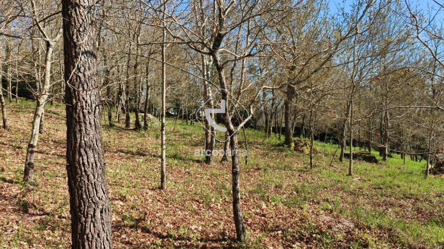 Terreno para Venda em Formariz e Ferreira Foto 8