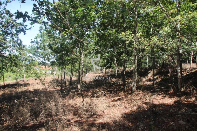 Terreno para Venda em Formariz e Ferreira Foto 35
