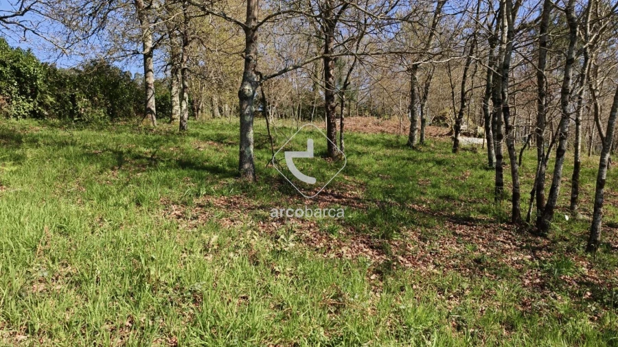 Terreno para Venda em Formariz e Ferreira Foto 42
