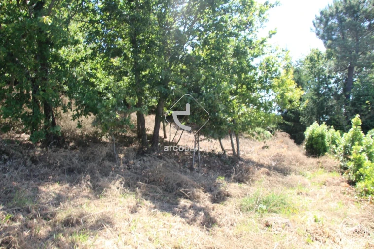 Terreno para Venda em Formariz e Ferreira Foto 13
