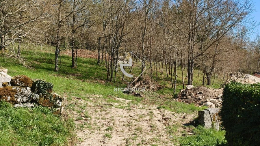 Terreno para Venda em Formariz e Ferreira Foto 10