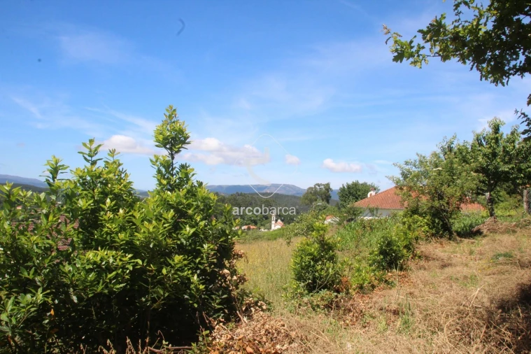Terreno para Venda em Formariz e Ferreira Foto 39