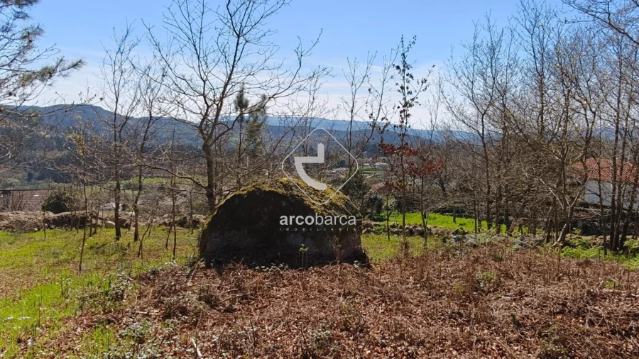 Terreno para Venda em Formariz e Ferreira Foto 15