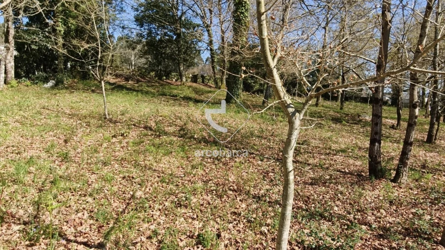 Terreno para Venda em Formariz e Ferreira Foto 5