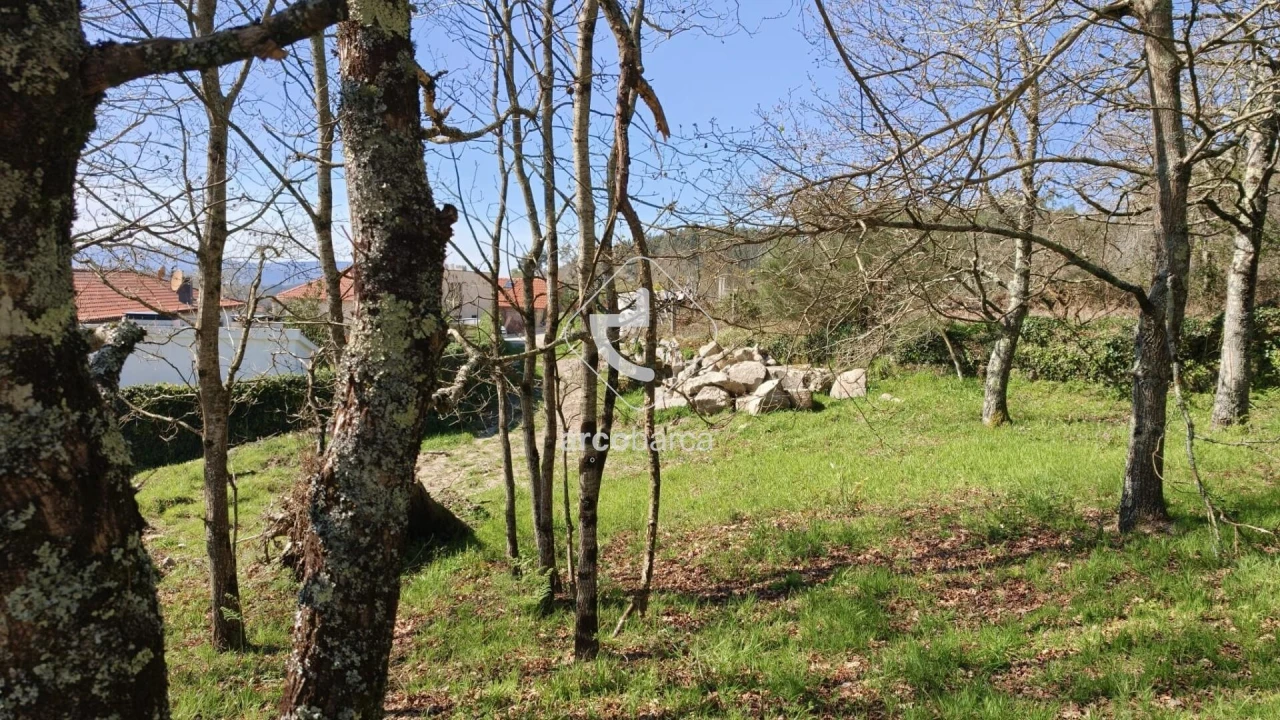 Terreno para Venda em Formariz e Ferreira Foto 11