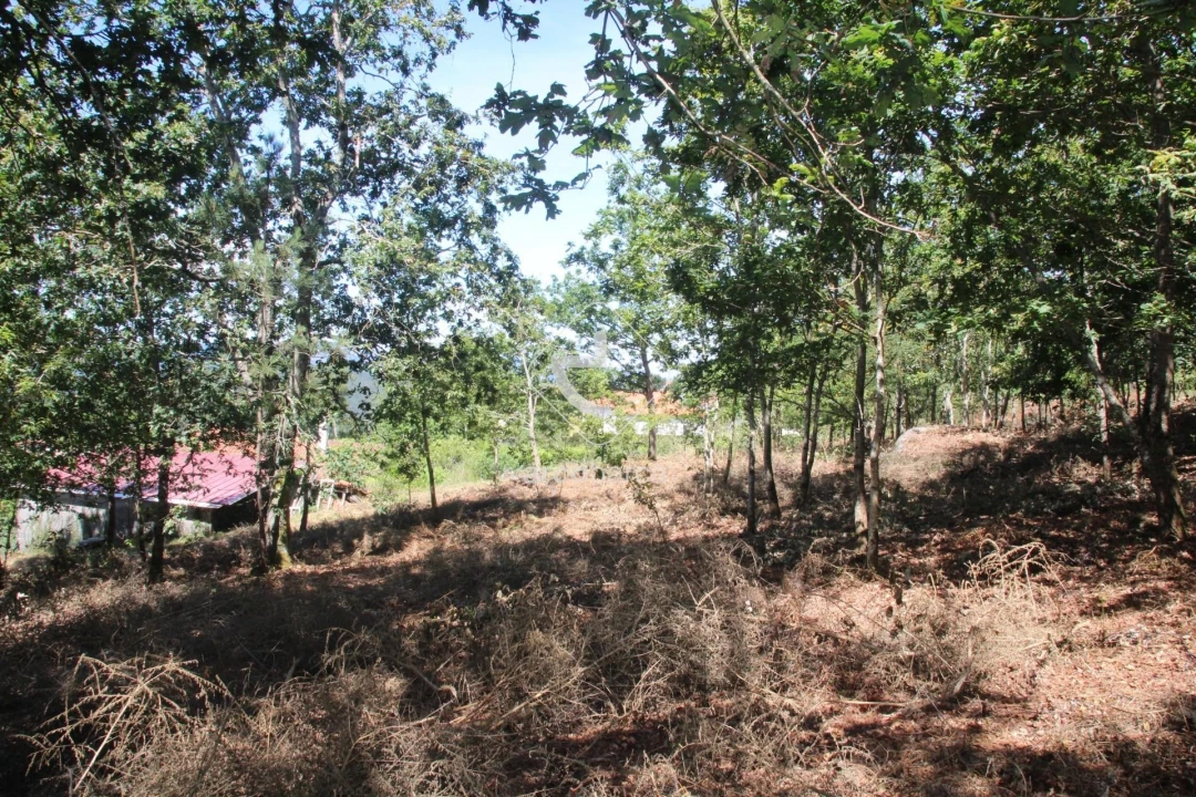 Terreno para Venda em Formariz e Ferreira Foto 19