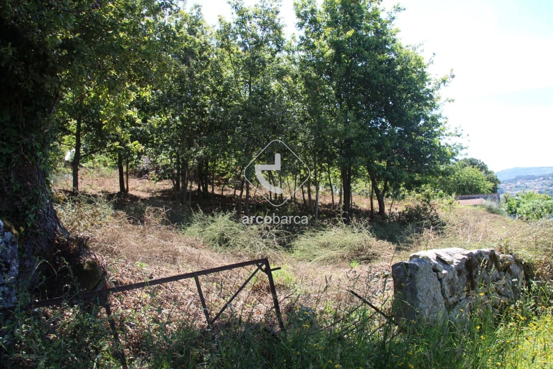 Terreno para Venda em Formariz e Ferreira Foto 18