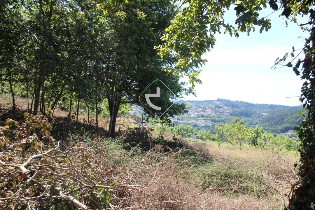 Terreno para Venda em Formariz e Ferreira Foto 27